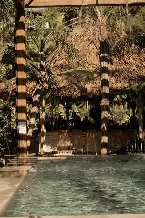 Hotel Kohylia By La Scala Glykadi